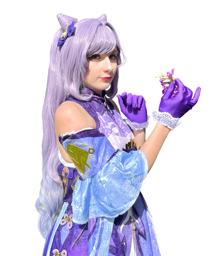 imagem do fluxo de alavancagem